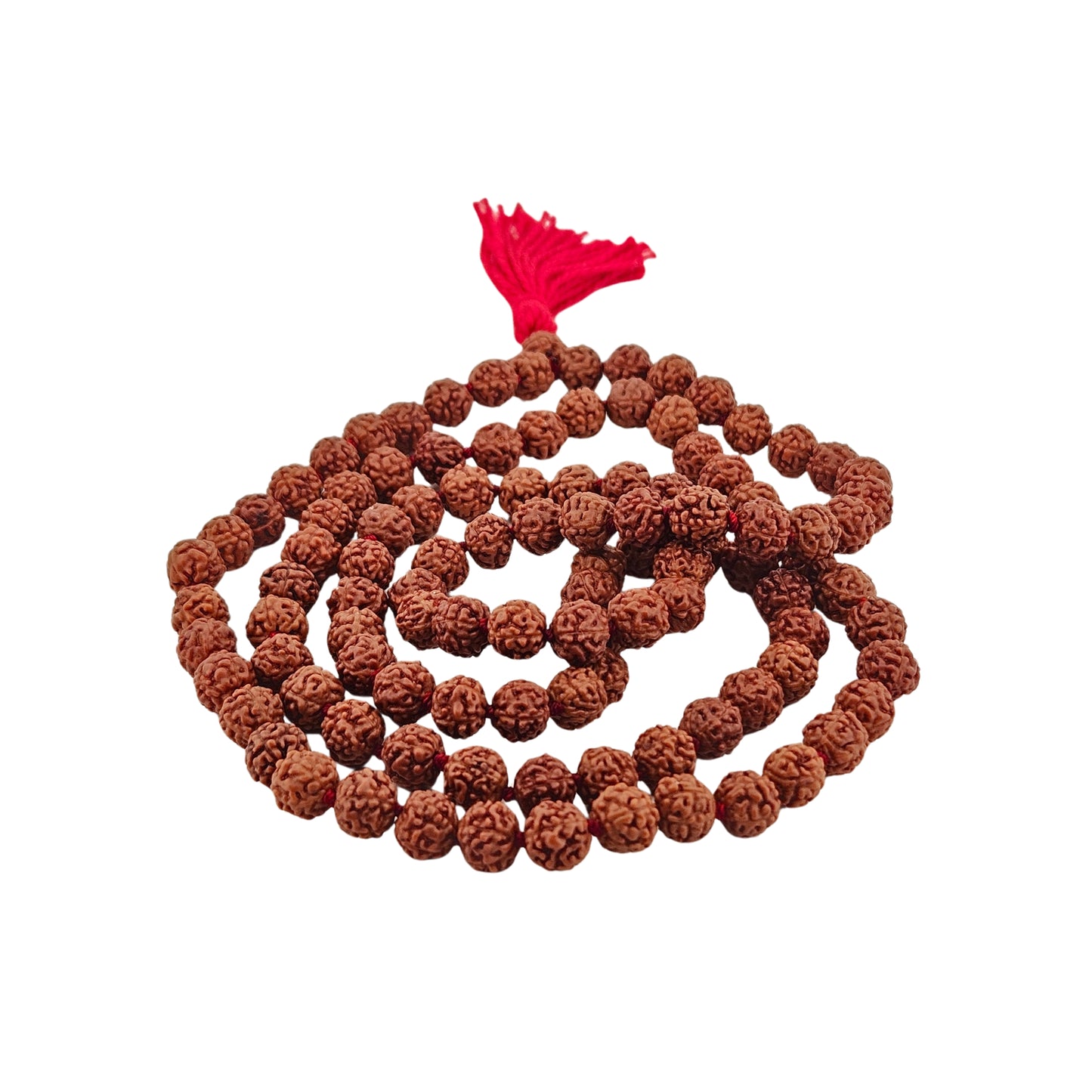5 Mukhi Rudraksha Pathri Mala (108+1) - MANKA - Beads of Bliss