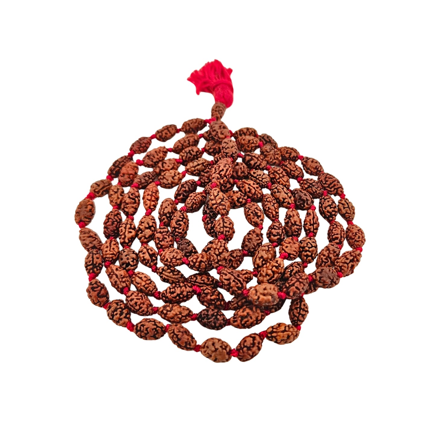 2 Mukhi Jaap Mala (108+1) - MANKA - Beads of Bliss