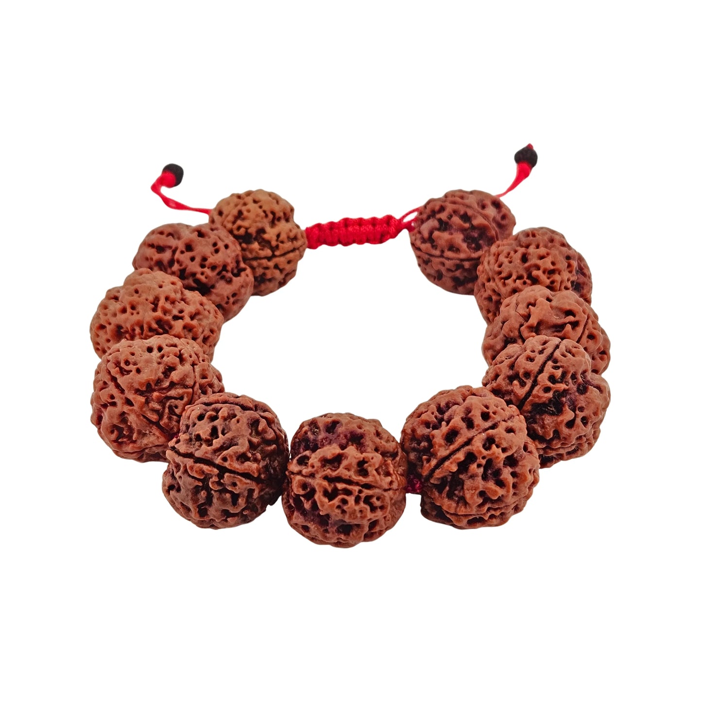 5 Mukhi Bracelet - MANKA - Beads of Bliss