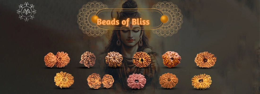 Rudraksha: Beads of Bliss for Mind body & Soul