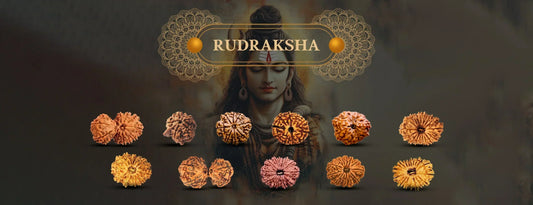How to Identify Original Nepal Rudraksha: A Practical Guide (With X‑ray Examples)
