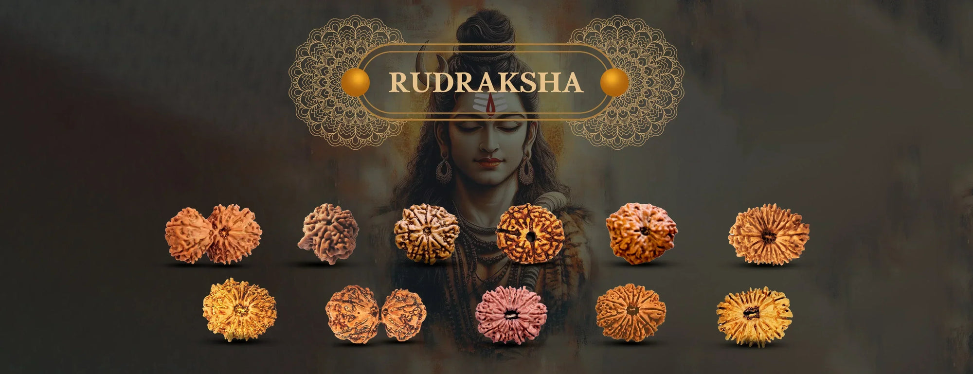 Rudraksha