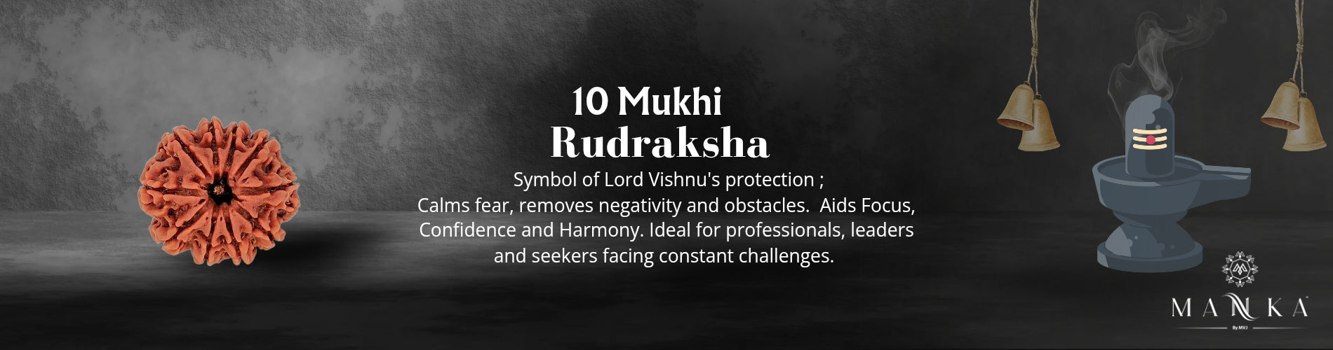 10 Mukhi Rudraksh (Nepal Origin)