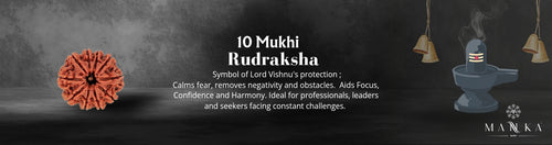 10 Mukhi Rudraksh (Nepal Origin)