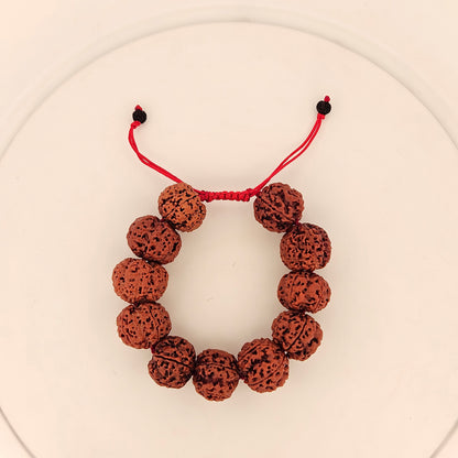 13 Mukhi Rudraksha (Medium)