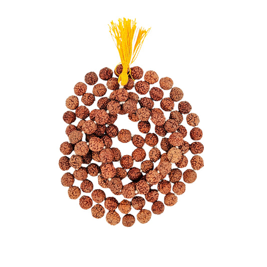 5 Mukhi Rudraksha Jaap Mala (108+1)