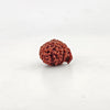 Ganesh Rudraksha 9 Mukhi Medium