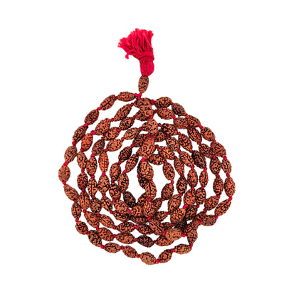 2 Mukhi Jaap Mala (108+1)
