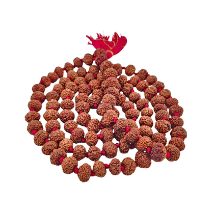 7 Mukhi Jaap Mala (108+1)